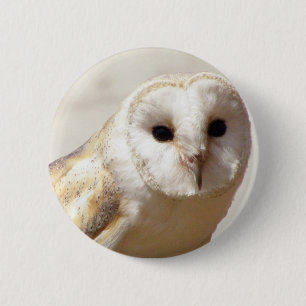 Macaron Rond 5 Cm Pin de hibou de grange de Milou