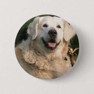 Macaron Rond 5 Cm Pin doux de golden retriever