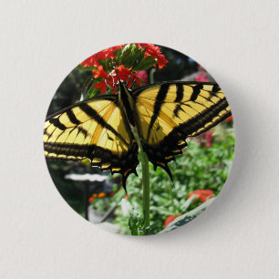 Macaron Rond 5 Cm Pin oriental de papillon de machaon de tigre