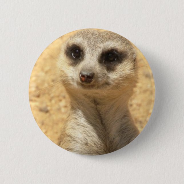 Macaron Rond 5 Cm Pin rond curieux de Meerkat (Devant)