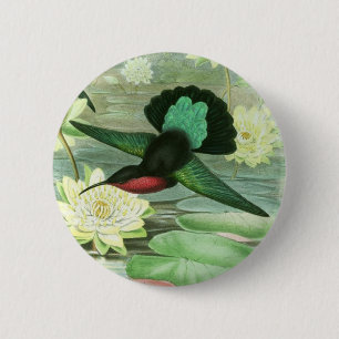 Macaron Rond 5 Cm Pin rond de bouton de colibri coloré de Gould