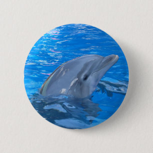 Macaron Rond 5 Cm Pin rond de dauphin de Bottlenose