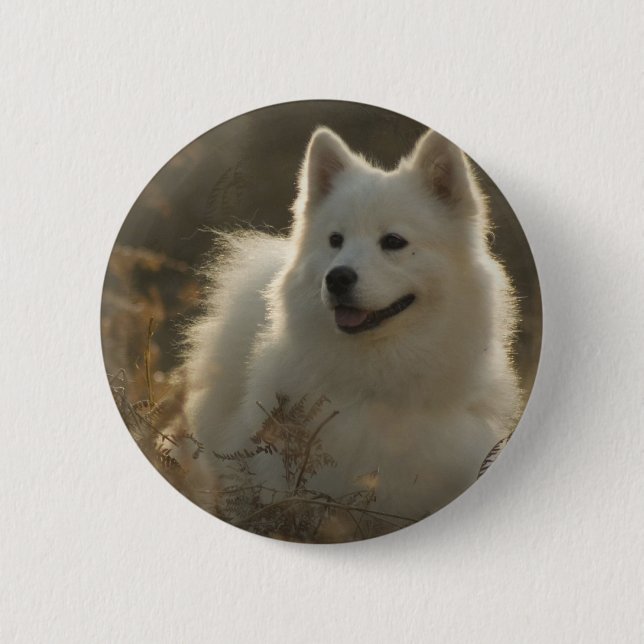 Macaron Rond 5 Cm Pin rond de race de chien de Samoyed (Devant)