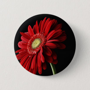Macaron Rond 5 Cm Pin rouge de marguerite de Gerber