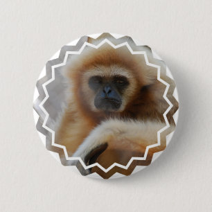 Macaron Rond 5 Cm Pin triste de gibbon