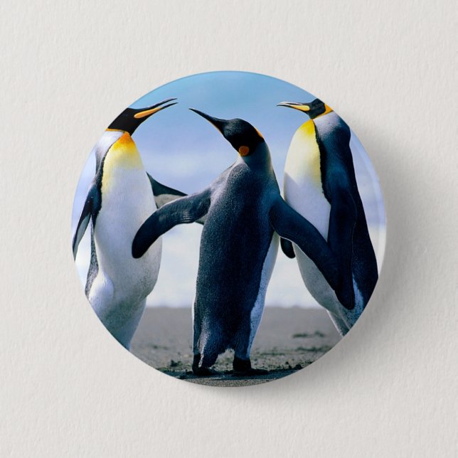 Macaron Rond 5 Cm Pingouins (Devant)