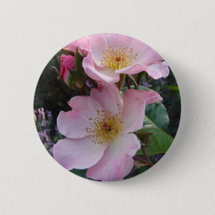 Macaron Rond 5 Cm Pink Wild Rose Flower floral Photo