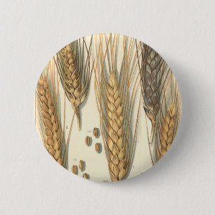 Macaron Rond 5 Cm Plante de blé résistante à la sécheresse, agricult