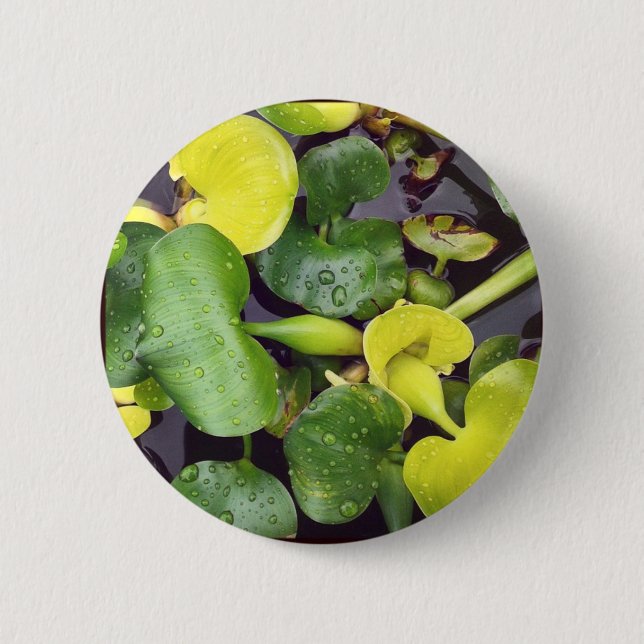 Macaron Rond 5 Cm Plantes d'étang à l'épicerie (Devant)