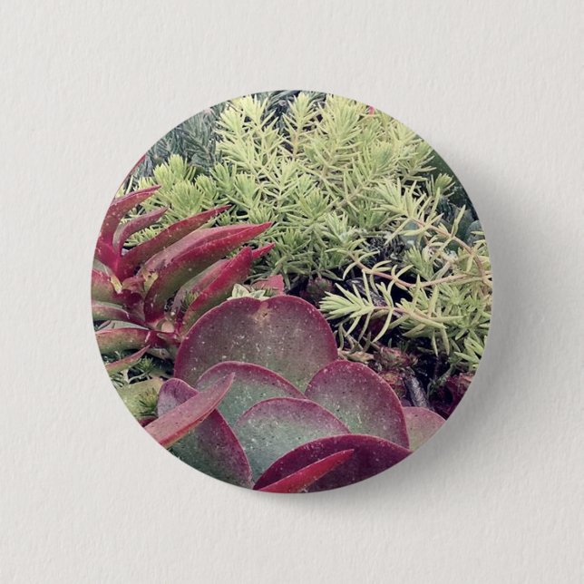 Macaron Rond 5 Cm Plantes succulents (Devant)
