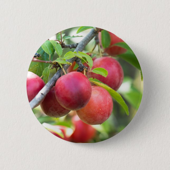 Macaron Rond 5 Cm Plum cerise sur branche (Devant)