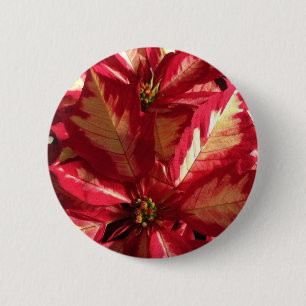 Macaron Rond 5 Cm Poinsettia rose