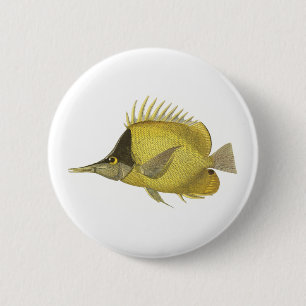 Macaron Rond 5 Cm Poisson Chelmon Longirostris Tropical Jaune, Poiss
