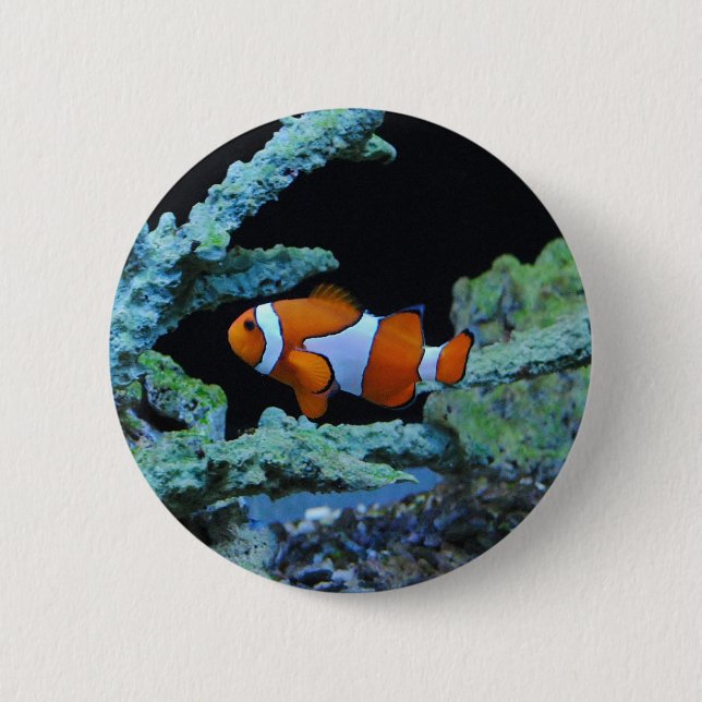 Macaron Rond 5 Cm Poisson clown en corail (Devant)