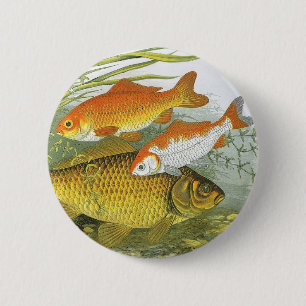 Macaron Rond 5 Cm Poisson d'or aquatique vintage Poisson Koi, Vie ma