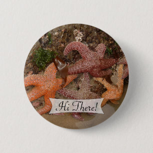 Macaron Rond 5 Cm Poisson étoilée colorée personnalisée/Etoile marin