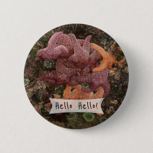 Macaron Rond 5 Cm Poisson étoilée colorée personnalisée/Photo Sea St