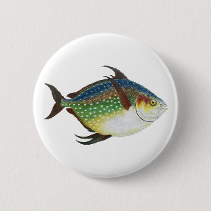 Macaron Rond 5 Cm Poisson Opah tropical, animal aquatique marin Vint