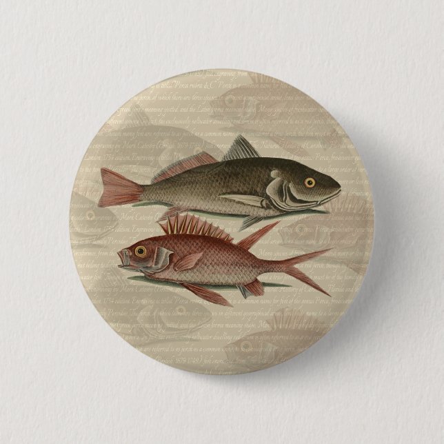 Macaron Rond 5 Cm Poisson Perche rouge Art pêcheur (Devant)