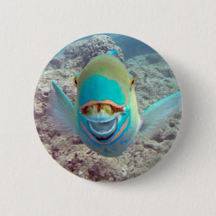Macaron Rond 5 Cm Poisson perroquet Hawaii