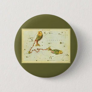 Macaron Rond 5 Cm Poissons, miroir de la constellation Vintage de l'