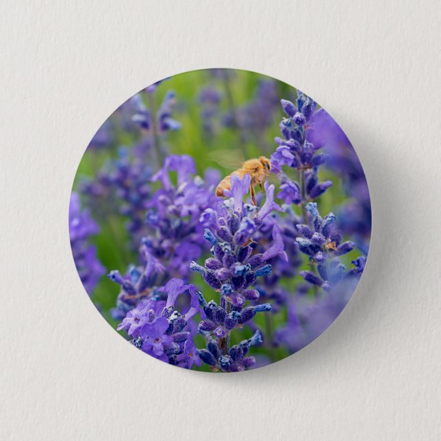 Macaron Rond 5 Cm Pollinateur Sauvez Les Abeilles Lavande Fleurs Her (Devant)