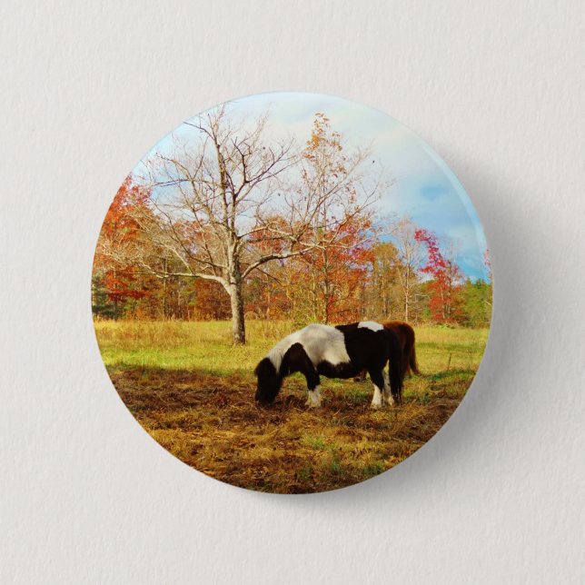 Macaron Rond 5 Cm Poney miniature noir et blanc / Cheval (Devant)