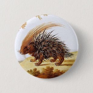 Macaron Rond 5 Cm Porc-épic - peinture vintage de porc-épic (déta