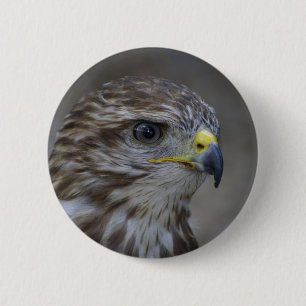 Macaron Rond 5 Cm Portrait commun Buzzard