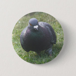 Macaron Rond 5 Cm Poser le bouton Pigeon