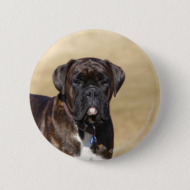 Macaron Rond 5 Cm Position Brindle de chien de boxeur (Devant)