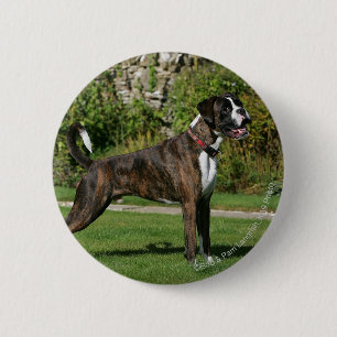 Macaron Rond 5 Cm Position Brindle d'exposition canine de boxeur