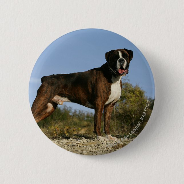 Macaron Rond 5 Cm Position d'exposition canine de boxeur (Devant)