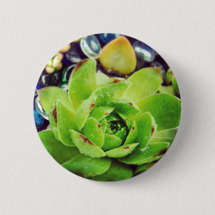 Macaron Rond 5 Cm Poules et poules