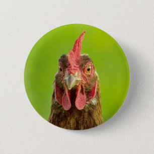 Macaron Rond 5 Cm Poulet drôle - bouton