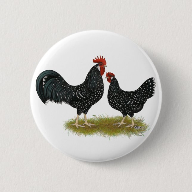 Macaron Rond 5 Cm Poulets d'Ancône (Devant)