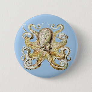 Macaron Rond 5 Cm Poulpe vintage Ernst Haeckel Vie marine nautique