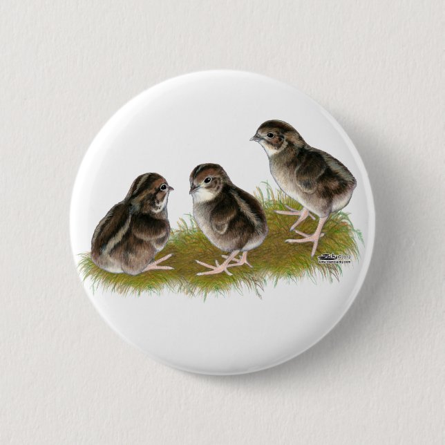 Macaron Rond 5 Cm Poussins de caille Coturnix (Devant)