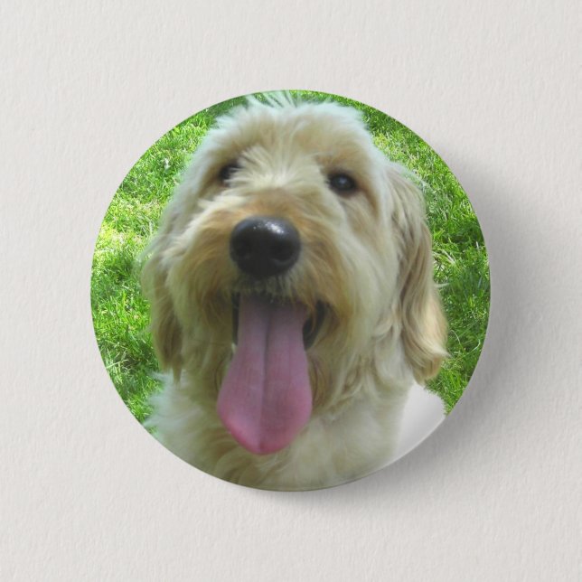 Macaron Rond 5 Cm Produits de Goldendoodle (Devant)
