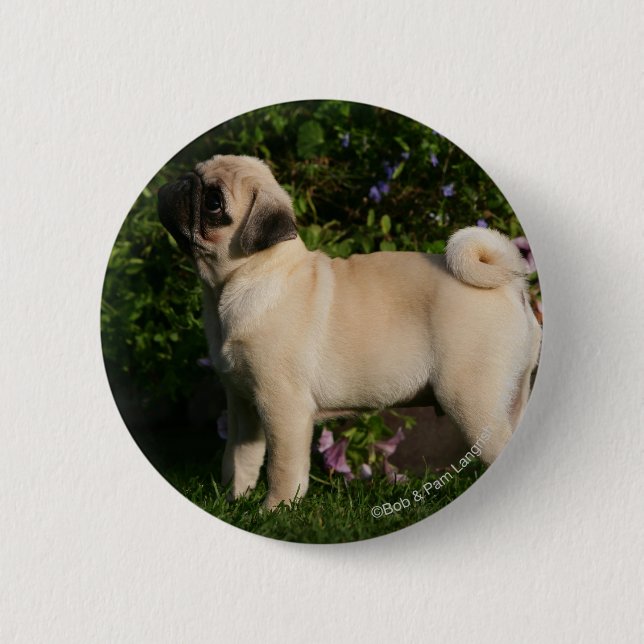 Macaron Rond 5 Cm Profil de carlin de faon (Devant)