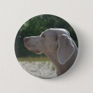 Macaron Rond 5 Cm Profil doux de chien de Weimaraner