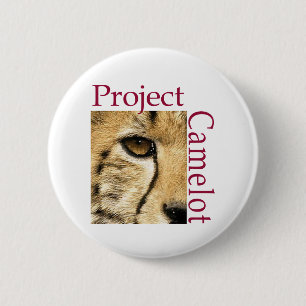 Macaron Rond 5 Cm Projet Camelot
