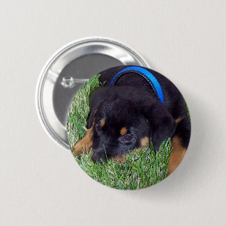 Macaron Rond 5 Cm pubs de rottweiler