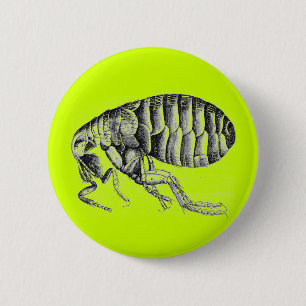 Macaron Rond 5 Cm Puce de peste