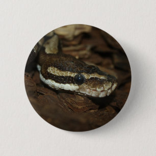 Macaron Rond 5 Cm Python Brown