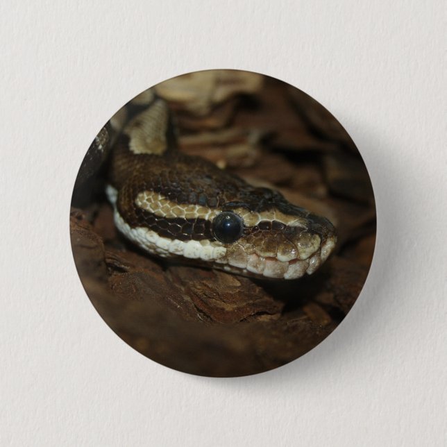Macaron Rond 5 Cm Python Brown (Devant)