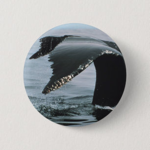 Macaron Rond 5 Cm Queue de baleine de bosse