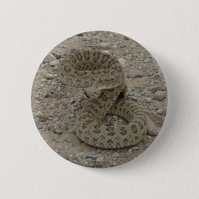 Macaron Rond 5 Cm R9 Prairie Rattlesnake (Devant)