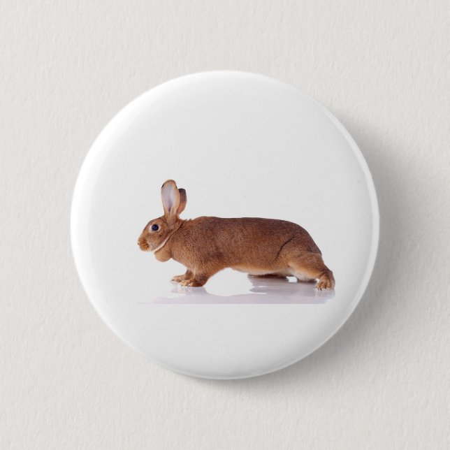 Macaron Rond 5 Cm rabbit (Devant)