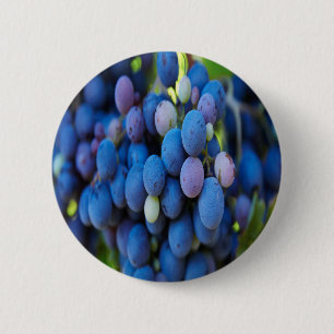 Macaron Rond 5 Cm Raisins